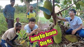 Review vườn nhà 2Q Vlogs ở Angola|| Antonio học Ghép Mít|| 2Q Vlogs Cuộc Sống Châu Phi