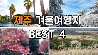 제주 겨울여행지 가볼만한곳 best 4 ｜제주 겨울 매력을 느끼기 좋은 한라산1100고지, 동백수목원, 새별오름억새 산방산 탄산온천