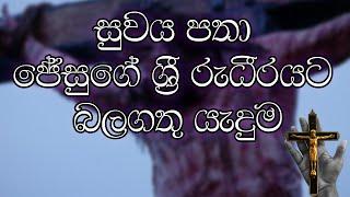 The Powerful Prayer for Healing (සුවය පතා ජේසුගේ ශ්‍රි රුධීරයට බලගතු යැදුම)