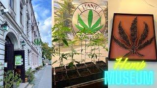 Hemp Museum in Berlin I 4K I Hanf Museum