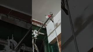 每晚來家陽台睡覺的野生鳥，這天兩隻，一鳥睡一邊 #鳥