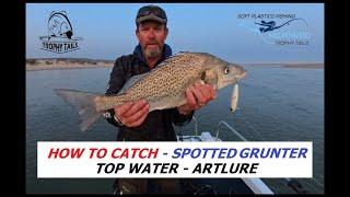 How to catch Spotted Grunter on Topwater Lures