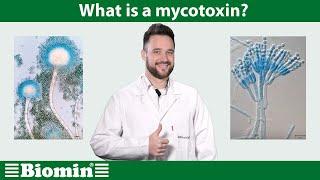 What is a mycotoxin? [Your Animal Nutrition Questions Answered]