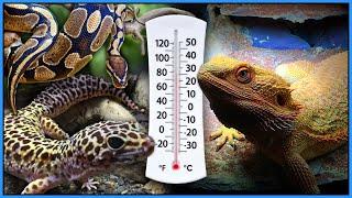 We've Been Heating Reptile Enclosures Incorrectly All These Years! - How to Heat a Reptile Tank