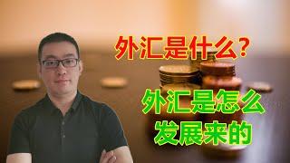 【新手指引】你想知道外汇的来源吗，3分钟告诉你外汇是什么?（黄金、原油、股票、外汇）