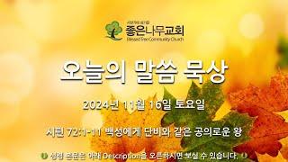 오늘의 말씀 묵상 2024년 11월 16일 (토)