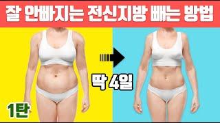 보기싫은 전신 지방 양심적으로 오늘 많이 먹었으면 들어오세요. (전신운동 다이어트/칼로리폭발운동)