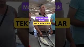 Mavişehir BALIK MEZATINDA TEK ÇİPURALAR. #çipura #levrek #balık #balıkmezatı #lüfer