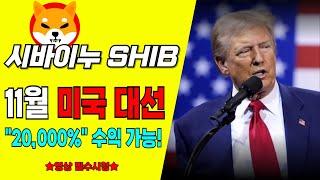 [시바이누 코인] 11월 미국 대선! 과감한 베팅 가능하다!? "20,000%" 수익 가능!