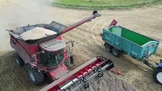 Harvesting at Nutbourne