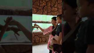 Snake #vlog