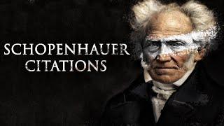 SCHOPENHAUER : L'Homme calme dans les Revers | CITATIONS