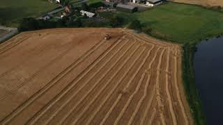 Harvest time