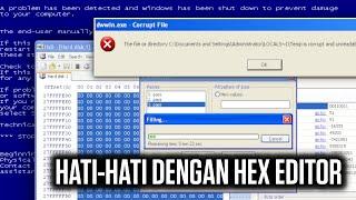 HATI-HATI dengan HEX EDITOR atau WINDOWS mu akan RUSAK!!!