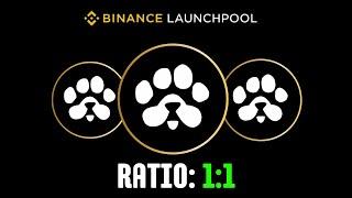 Paws Airdrop Binance Listing Confirm | Paws Airdrop Ratio |