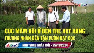 Nhịp sống ngày mới 25.11.2024 | Truyền hình Hậu Giang