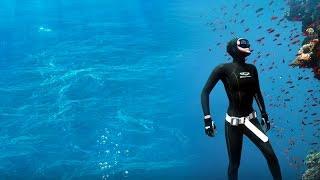 Freediving Koh Tao - We Love Koh Tao