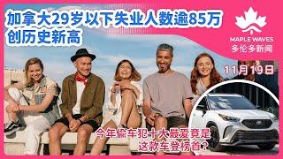 【11月19日多伦多新闻】加拿大29岁以下失业人数逾85万 创历史新高 | 安省最低工资难应付生活成本 大多数地区需每小时26元 | 偷车犯十大最爱 Honda CRV终退位 今年竟是这款车登榜首？