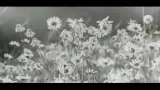 Владимир Высоцкий - Полчаса до атаки / Письмо