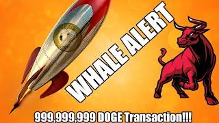 DOGE About To Make Us RICH?  MASSIVE WHALE ALERT!!