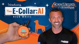  New Electronic Collar | ECollar Tech and Nick White 