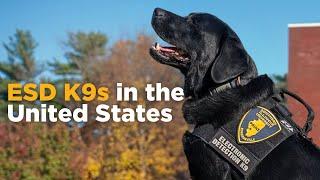 ESD K9s in the United States.