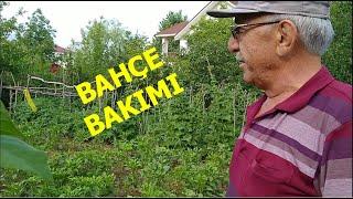 Bahçe bakımı nasıl olmalı.