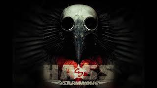 Sturmmann - Hass (Single 2023)