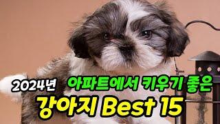 집에서 키우기 좋은 강아지 Best 15 【feat. 2024년 소형강아지 인기순위】