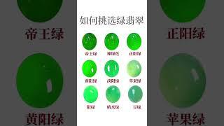 如何选择绿翡翠 #玉 #珠宝 #珠寶 #天然翡翠 #珠子 #玉 #shorts