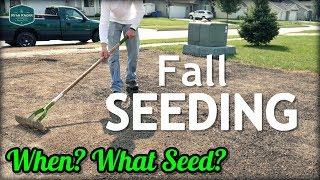 Fall Cool Season Lawn Seeding Tips // When? What Grass Seed?