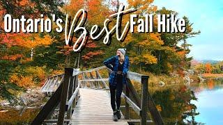 Hiking at Killarney Provincial Park | Best Fall Hike in Ontario | What To Know About The Crack Hike