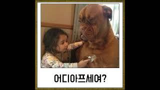 어디아파여?