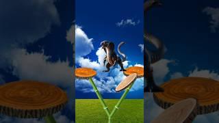 saamp do pair wale viral video shorts my YouTube viral best video viral#allah#funny#allahviralvideo