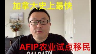 加拿大史上最快移民方法，AFIP农业试点