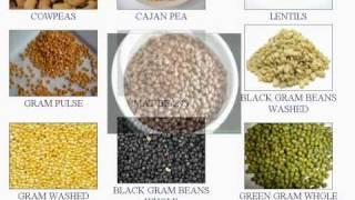 Pulses Chart | Pulses names in English with Pictures | दालो के नाम | Cereals names