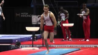 Daniel Steiner - Vault - 2013 P&G Championships - Sr. Men - Day 1