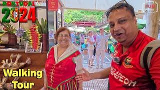 Funchal Old Town & Pico do Areeiro Walking Tour -  Portugal 2024