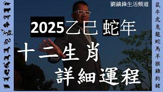 2025年十二生肖運程 詳細|吉凶星 風水佈局 不同出生年份 |鼠牛虎兔龍蛇馬羊猴雞狗豬|劉鎮鋒生活頻道