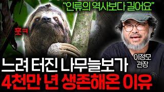 세상에서 제일 느린 나무늘보는 왜 멸종하지 않았을까? (4000만 년 생존..ㄷㄷ)