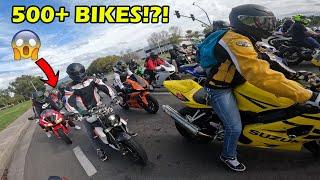 @TheKilaCam & @imkay  Hosted a Meet! (500+ BIKES ABSOLUTE MAYHEM!)