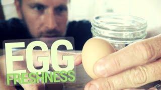 Egg Freshness Test