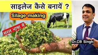 Silage making | साईलेज कैसे बनायें ? Dr CB Singh | Dairy Ustaad