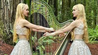 2 Girls 1 Harp - Naruto "Sadness and Sorrow" - Harp Twins