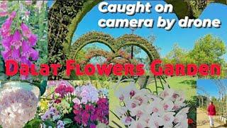 #Dalat Flowers Garden |Caught By Camera Drone!!!