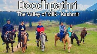 Doodhpathri Tour 2023 | The Valley of Milk in Kashmir | New sightseeing point in Kashmir