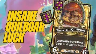 The Three Lil’ Quilboar Buff Pays Off With Insane Luck | Dogdog Hearthstone Battlegrounds