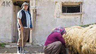 Yayladaki Huzurlu Hayat- Köyde Yaşam | Belgesel-4K