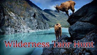 Tahr Hunt : Gunshots in the Glaciers