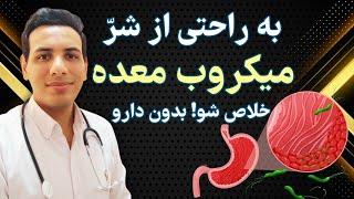 درمان میکروب معده بدون داروی شیمیایی | Treatment of stomach microbes without chemical drugs